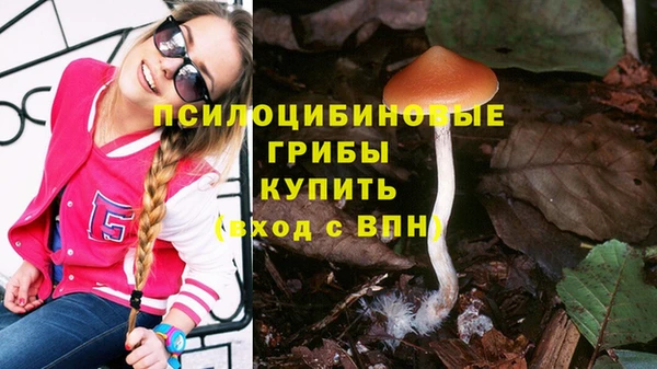 сатива Алексеевка