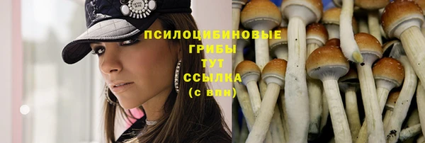 мет Сосновка
