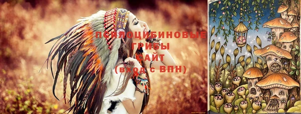 сатива Алексеевка