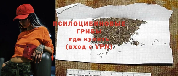 спайс Алексин