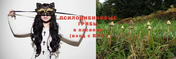 прущая мука Алзамай