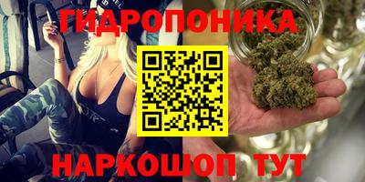 МДПВ Балашиха