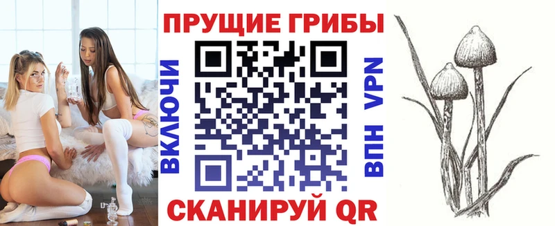 Псилоцибиновые грибы MAGIC MUSHROOMS  продажа наркотиков  OMG зеркало  Елабуга 