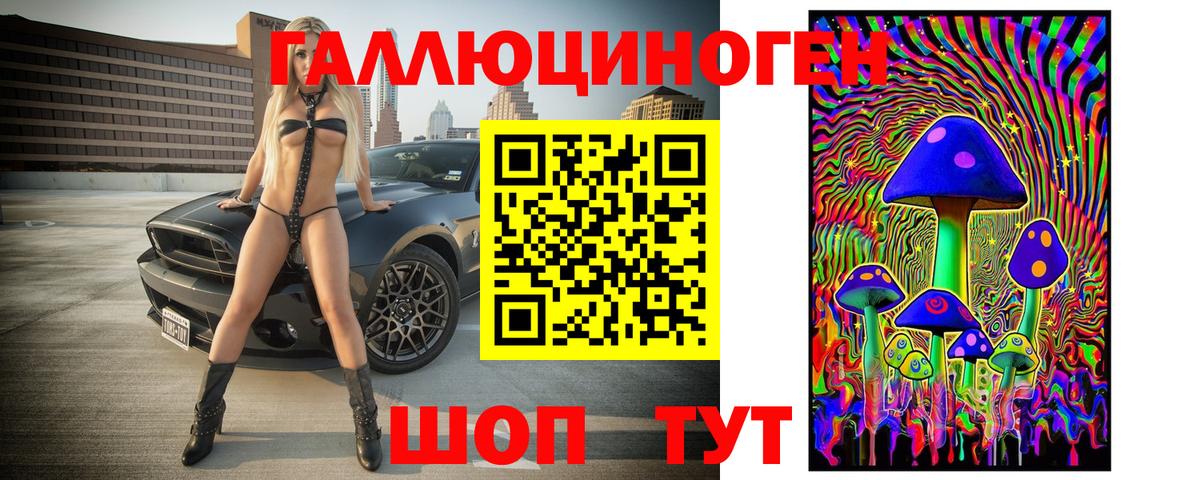 Елабуга  Псилоцибиновые грибы прущие грибы  Вход с VPN 